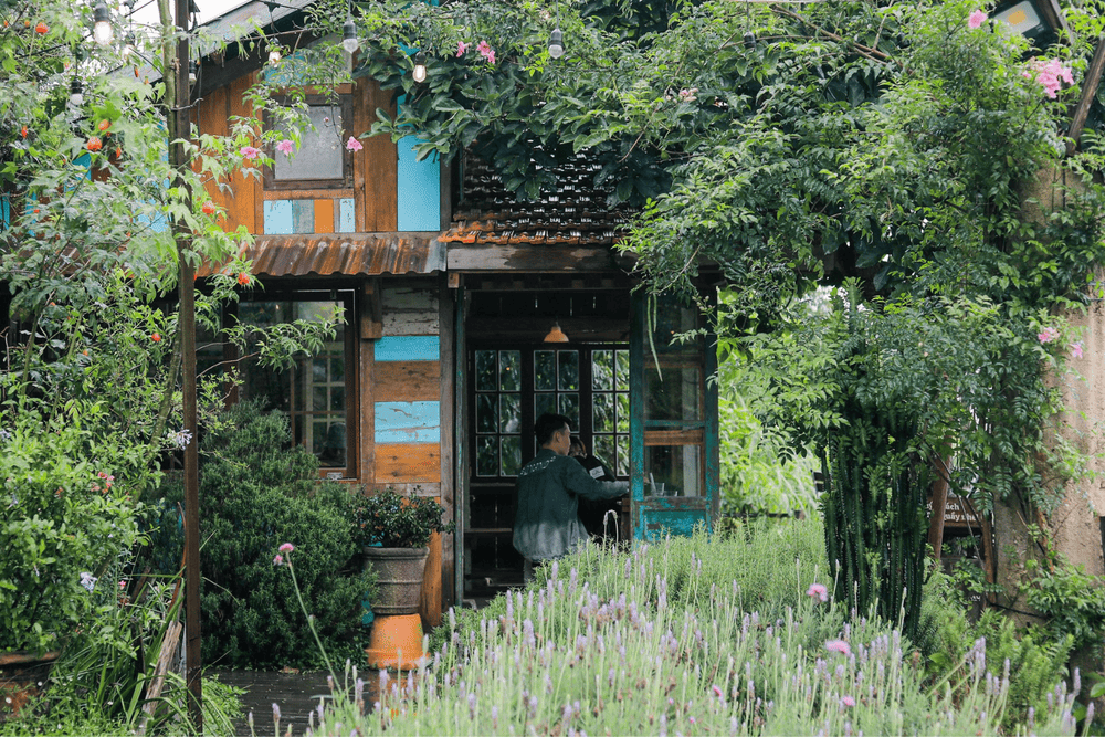 Túi Mơ To là một trong những tiệm cà phê nổi tiếng tại Đà Lạt, thu hút du khách bởi giao diện nên thơ, đậm chất thiên nhiên (Nguồn: Fanpage Tiệm cà phê Túi Mơ To)